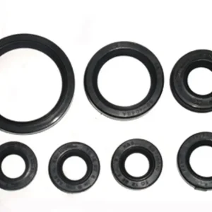 Cenový Hit BRONCO sada těsnění motoru YAMAHA YFM660 RAPTOR 01-05 (7 kusů) (AT-09645)