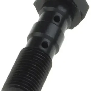 Ihned K Objednání TRW ZF hydraulický šroub pro brzdové hadice M10X1,00 dvojitý barva černá