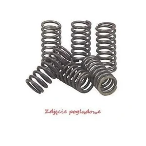 Levný PSYCHIC spojkové pružiny KAWASAKI KX 250 90