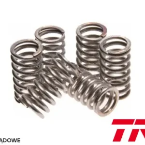 Cenový Hit TRW ZF spojkové pružiny KAWASAKI GPZ 500 87-04, KLE 500 91-07, W 650 99-05, Z 1000 ST 79-81, (EBS010)