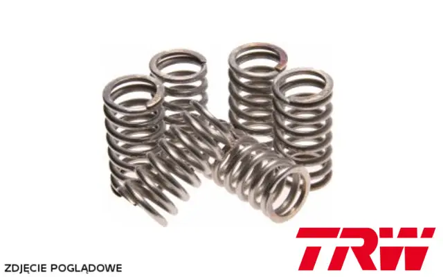 Omezená Nabídka TRW ZF spojkové pružiny YAMAHA YZF 600 R6 06-07 (EBS126)
