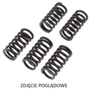 Akční Nabídka TRW ZF spojkové pružiny HONDA CRF 250R 10-13