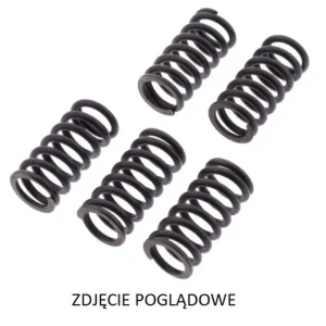 Novinka TRW ZF spojkové pružiny DUCATI 749S/R 03-07, 916 ST4 99-03, 944 ST2 97-03, 996 ST4 01-03, 999 BIPOSTO 02-06, MONSTER 1000 02-08, MULTISTRADA/SS SUPERSPORT 1000 03-06