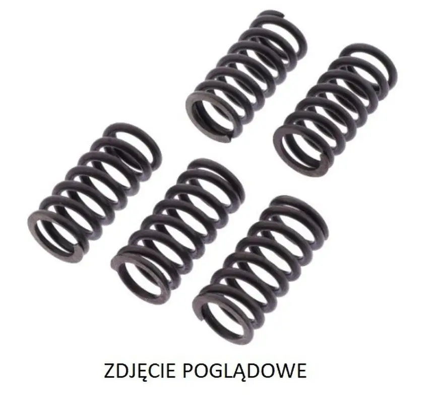 Zlevněný TRW ZF spojkové pružiny BIMOTA DB5 1100R/S 07-12, DB6 1100 DELIRIO 07-14, DUCATI EVO/STREETFIGHTER 10-15, PANIGALE 899 14-15, GT/SPORT 1000 08-10, ST3 1000 05-07, MULTISTRADA 1100 07-09