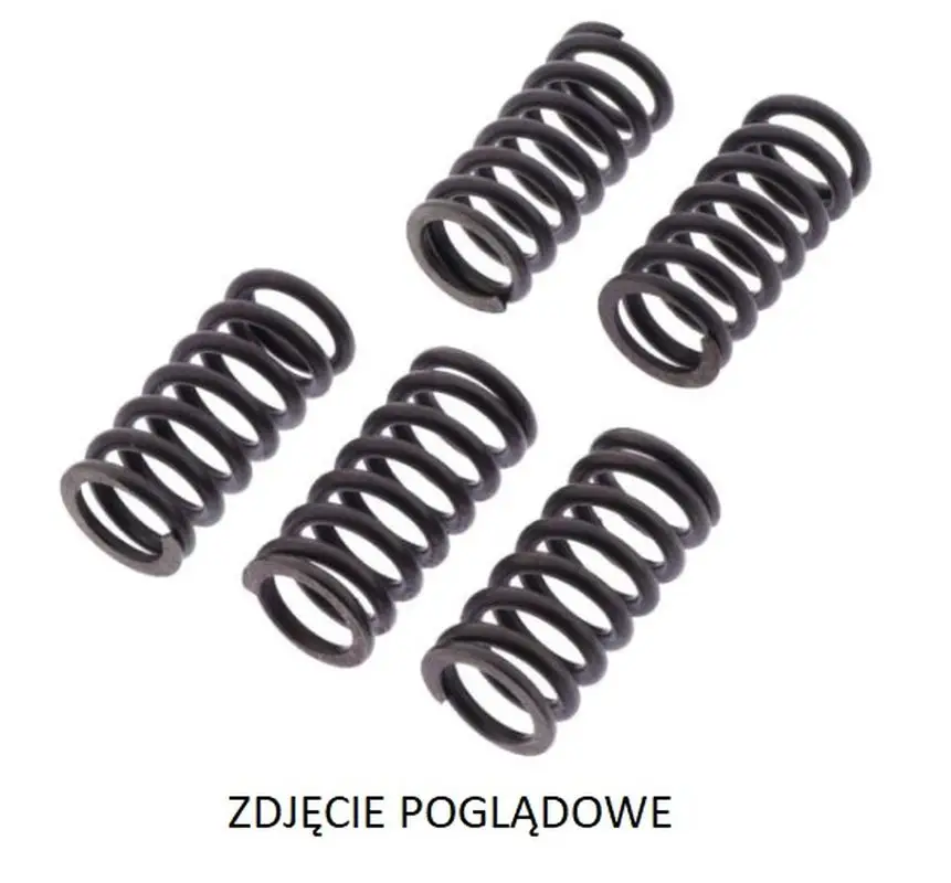 Akční Nabídka TRW ZF spojkové pružiny APRILIA ETV 1200 CAPONORD 13-17, SMV 1200 DROSODURO 13-17